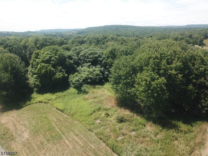 0 Unionville Rd - Photo 1