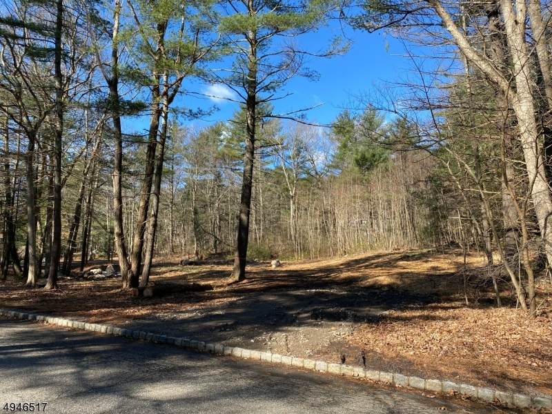 28 Lancaster Ln - Photo 1