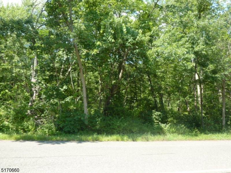 341 Berkshire Valley Rd - Photo 1