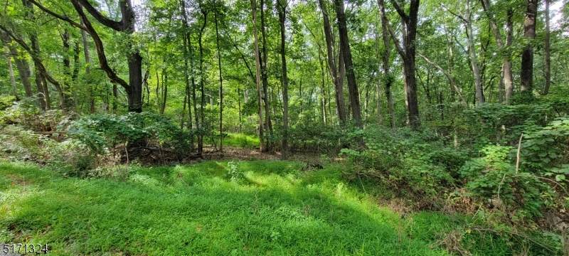 28 Danville Mountain Rd - Photo 1