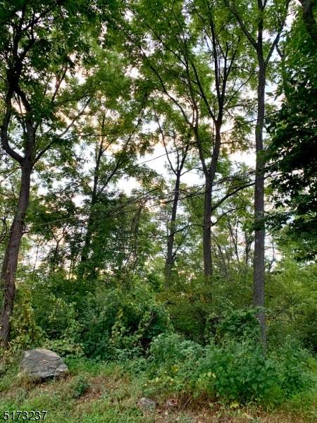 0 W Valley Brook Rd - Photo 1