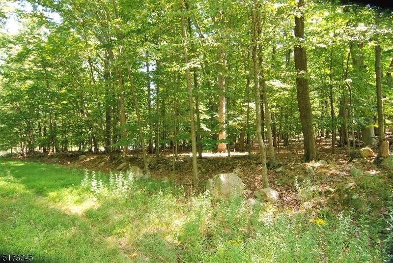 52 Mountain Rd - Photo 1