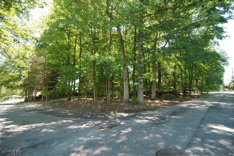 48 Mountain Rd - Photo 1