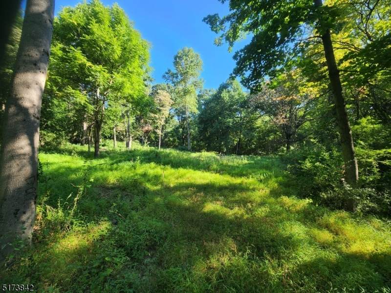 130 Harding - Photo 1