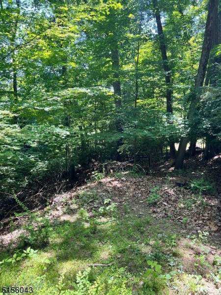 21 Rockledge Rd - Photo 1