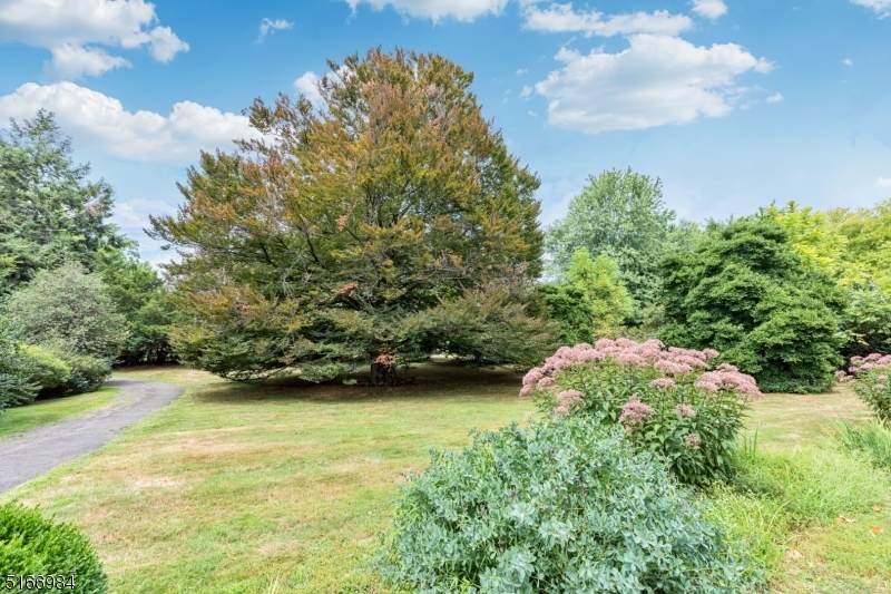 800 Willow Grove Rd - Photo 1