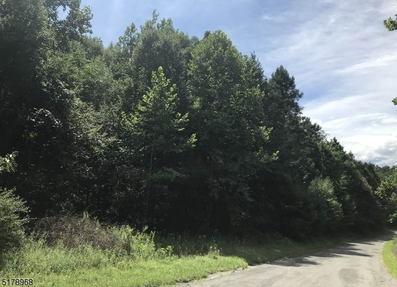 18 Hidden Hollow Way - Photo 1