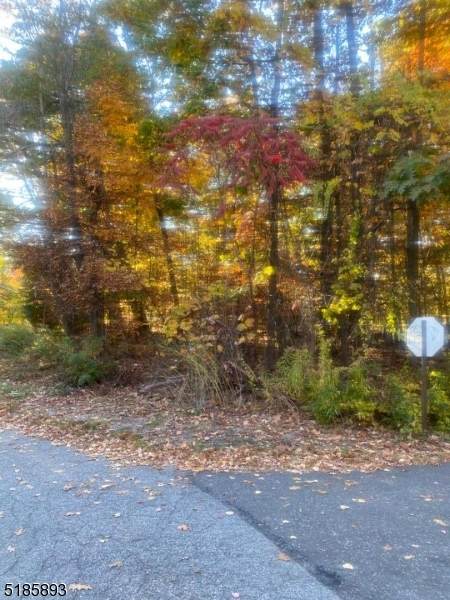 13 Elm Tree Rd 22 Lee Dr - Photo 1