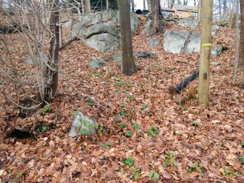 16 Dogwood Trl - Photo 1