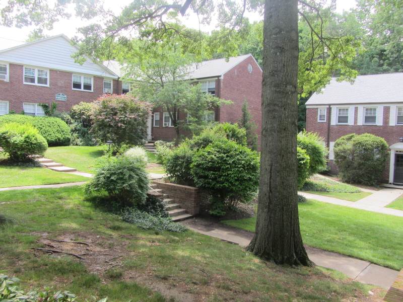 349 Bloomfield Ave - Photo 1