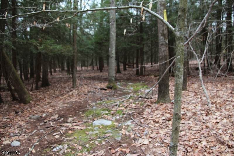 https://bt-photos.global.ssl.fastly.net/gsmls/orig_boomver_1_3895955-2.jpg