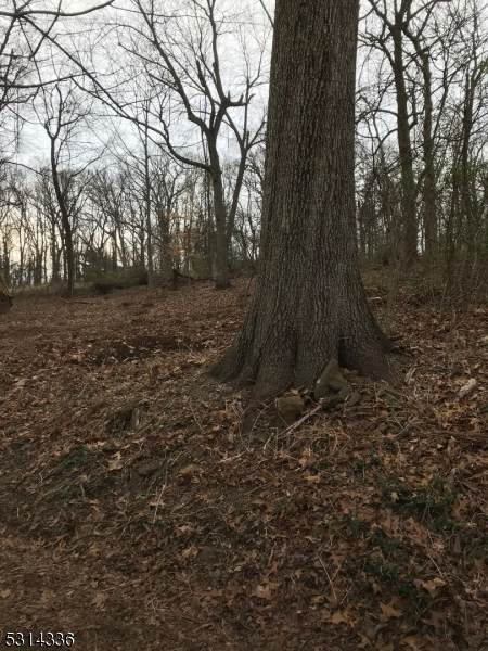 45 Longview Ter - Photo 1