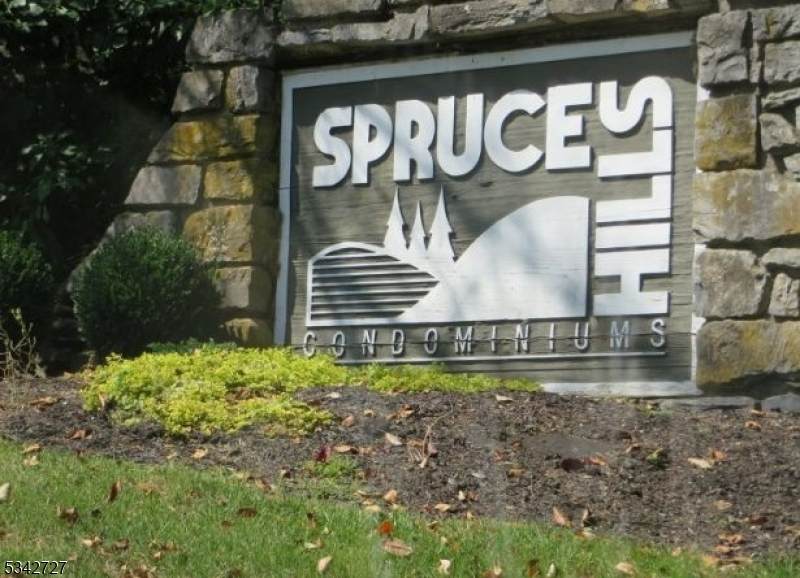 806 Spruce Hills Dr - Photo 1