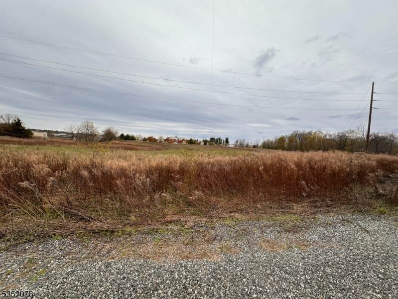 29 Royal Rd - Photo 1