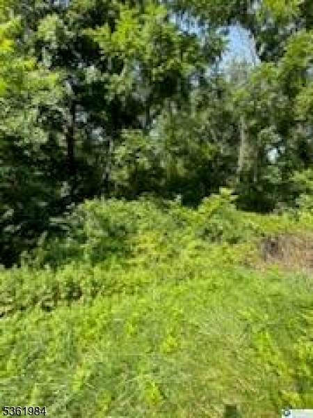 80 Route 519 - Photo 1