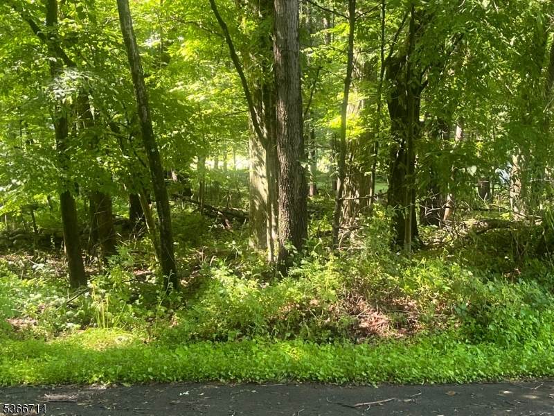 112 North Ct - Photo 1