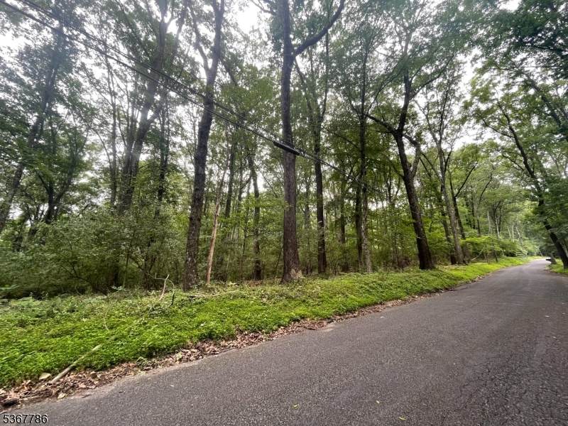 19 Polktown Rd - Photo 1