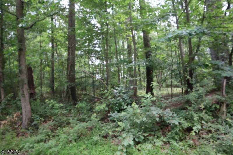 181 Mountain Road - Photo 1