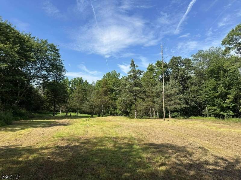 83 Readington Rd - Photo 1