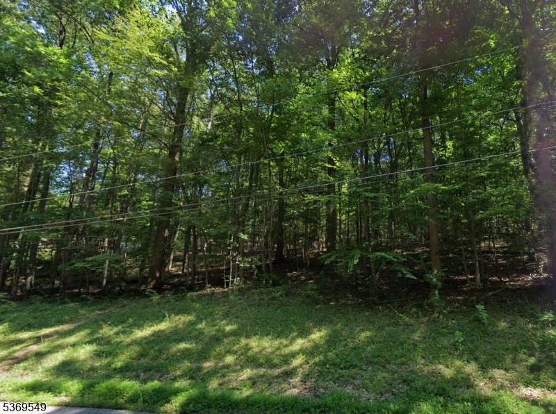 342 Buckhorn Dr - Photo 1