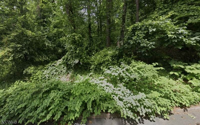 423 Summit Rd - Photo 1