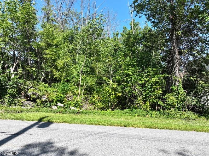 19 E Shore Lake Owassa Rd - Photo 1