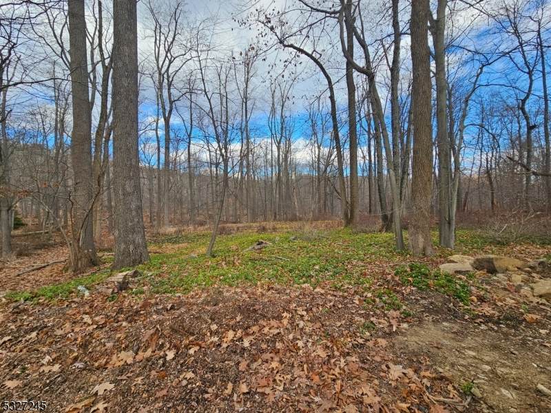 34 Starlight Dr - Photo 1