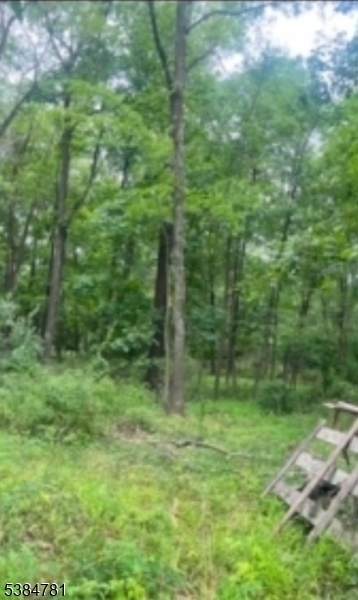 0 University Lane - Photo 1