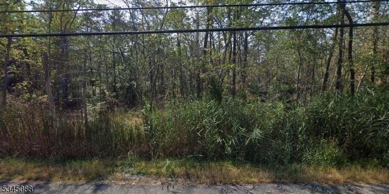 0 Apple Street - Photo 1