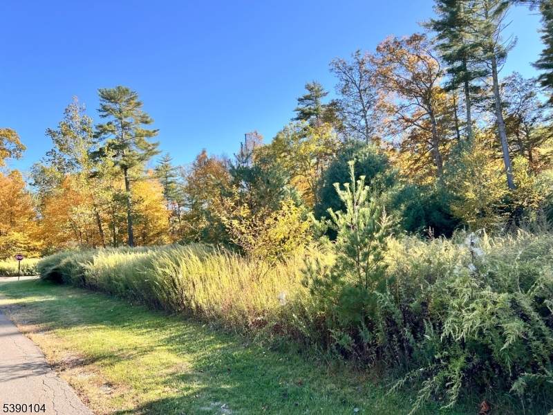 638 Sleepy Hollow Rd - Photo 1