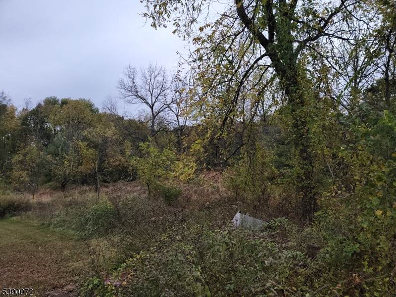 256 Clove Rd - Photo 1