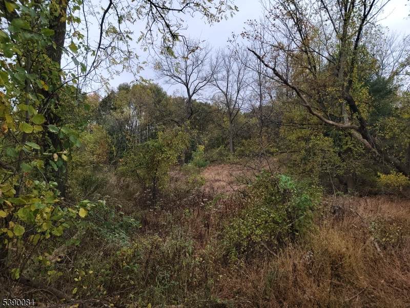 258 Clove Rd - Photo 1