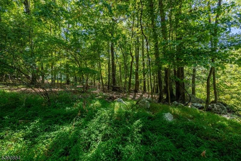 6 Ridge Rd - Photo 1