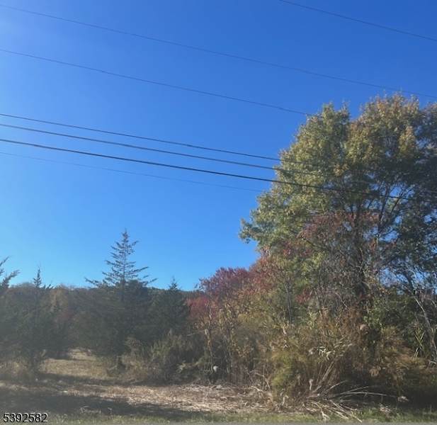 53 Snover Rd - Photo 1