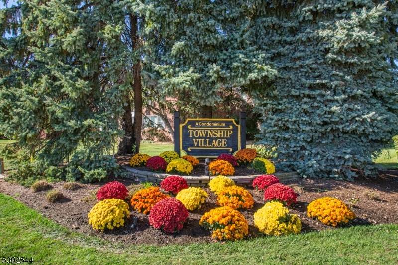 116 Pitney Pl - Photo 1