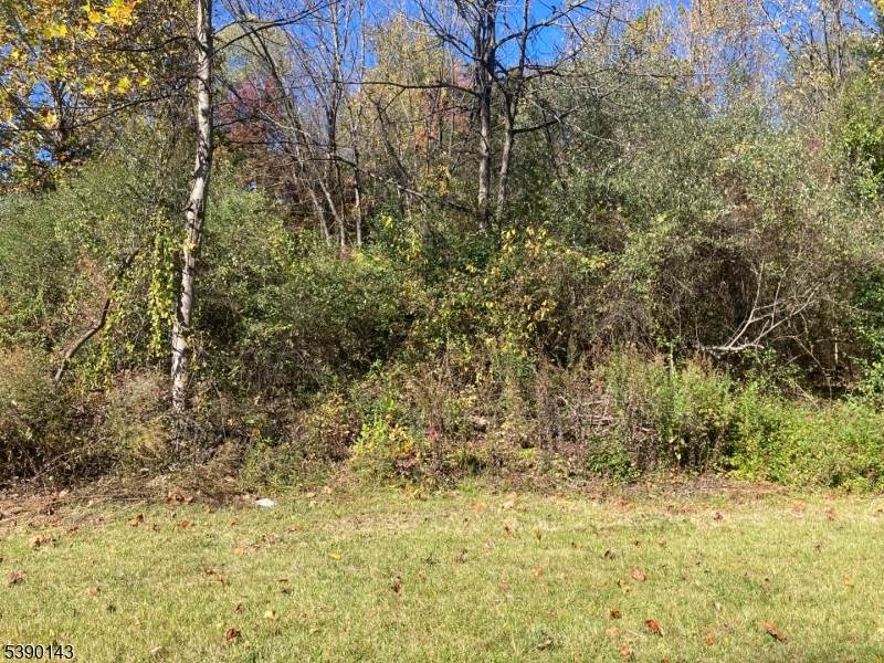 1 Bridge Rd - Photo 1