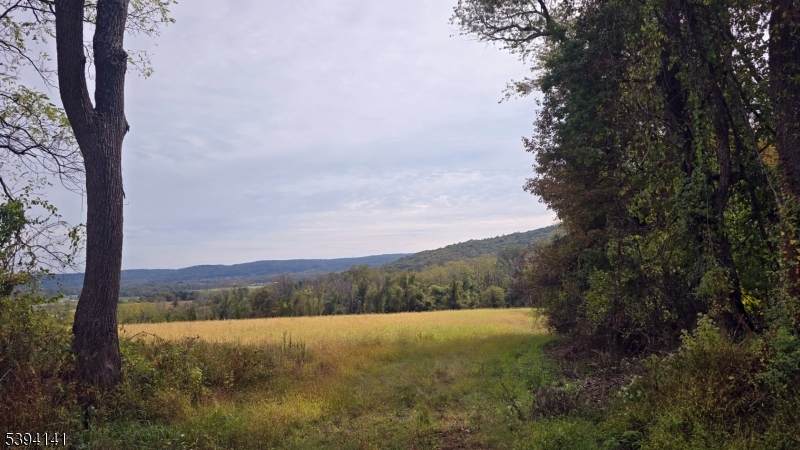 100 Marble Hill Rd - Photo 1