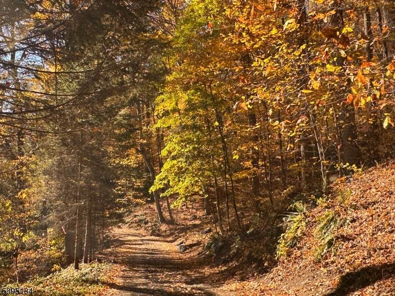 3 Rock N Wood - Photo 1