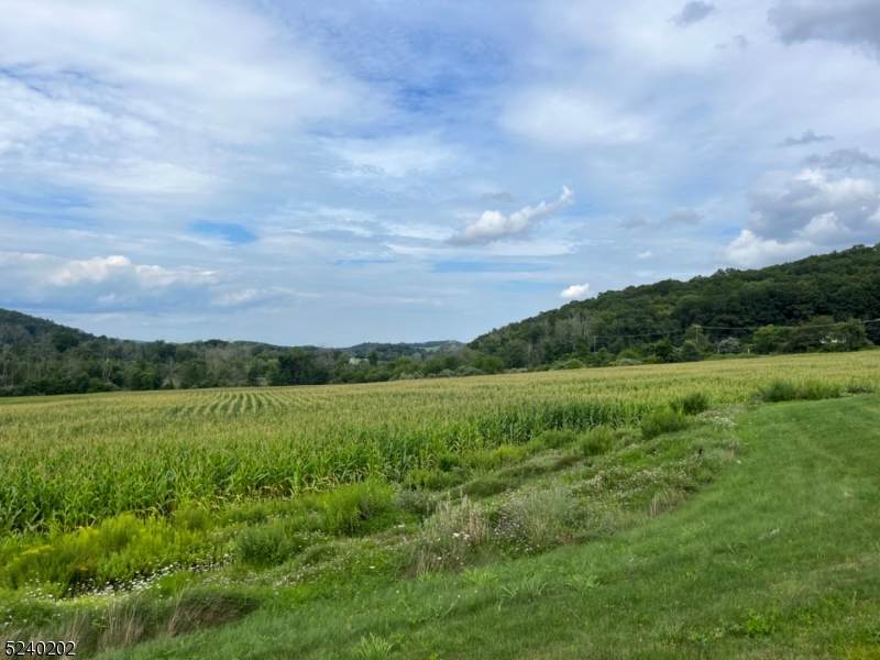 137 Hampton House Rd - Photo 1