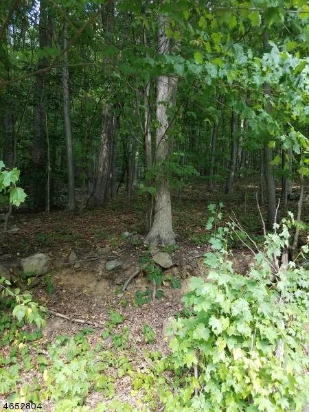 1128 Route 10 - Photo 1