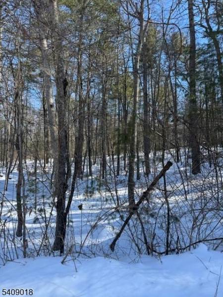 0 Martha St - Photo 1