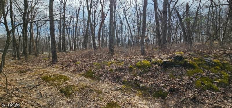 0 Upper Hibernia Rd - Photo 1