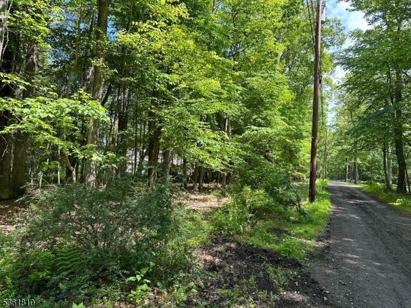 0 Devita Rd - Photo 1