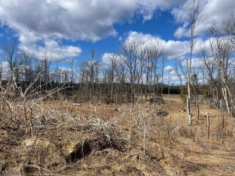 83 Creek Rd - Photo 1