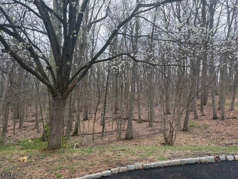 14 Cathy Ln - Photo 1