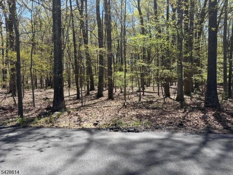 61 Quenby Mountain Rd - Photo 1