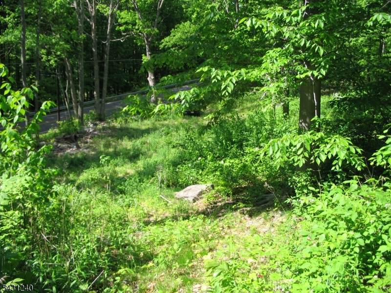 67 Pidgeon Hill - Photo 1