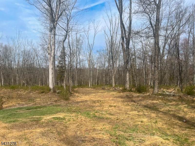 29 Twin Oaks Ln - Photo 1