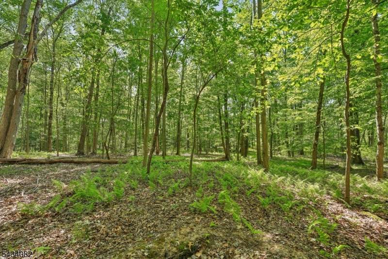 0 Homestead Rd - Photo 1