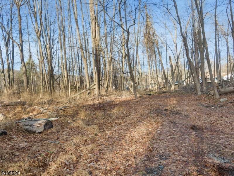 https://bt-photos.global.ssl.fastly.net/gsmls/orig_boomver_1_4030769-2.jpg